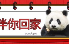 如何观看熊猫打码教程视频全集？完整学习指南在此！