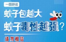南阳街头哪些小生意最能吸引顾客并带来盈利？