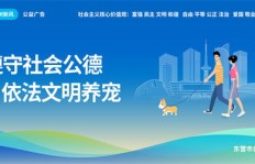 公益广告公司真的能赚大钱吗？背后的盈利模式是怎样的？