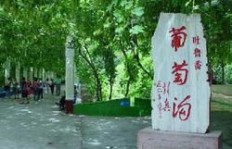 吐鲁番葡萄沟兼职工作有哪些机会和待遇？