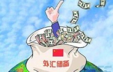 东坡区网格员兼职现象普遍，背后有何隐情？