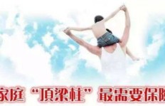 丈母娘如何成为家庭经济支柱的记录片？