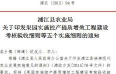 在杭州开展副业，能享受政府补贴吗？政策详情解读