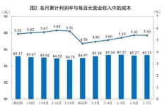 在巴基斯坦，哪个行业最具盈利潜力？