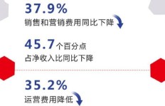 如何通过多种方式实现持续盈利？