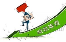 农村捕鱼副业能否带来可观收入？