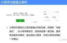 如何利用同城急送小程序实现高效推广与盈利？