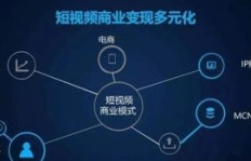 书中为何未提及快手盈利之道？探索平台赚钱秘诀