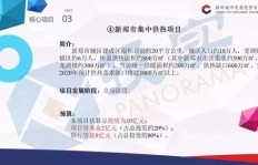大成集团旗下副业涉及哪些公司？