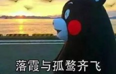 为何我们对赚钱的快感如此着迷？