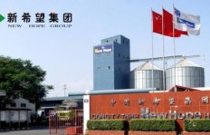 新希望集团实力如何？企业表现究竟怎样？