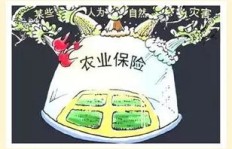 农业与农民双料俱亏，钱途何在？