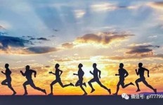 为何我们只能在赚钱与跑步之间做选择？生活平衡的秘诀何在？