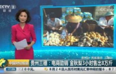 影视圈究竟发生了什么？为何频频引发关注？