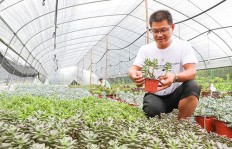 如何在花花世界中通过下载应用实现盈利？