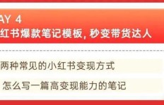 小说写作副业需不需要申报缴纳税款？新手必看！