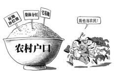 农村服务人民的事业能否带来经济收益？