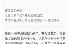 视频如何从转载变身原创，实现盈利？