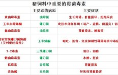 如何通过杀鱼实现盈利？你真的了解这门生意的门道吗？