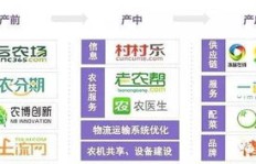 如何准确评估自己的项目是否具备盈利潜力？