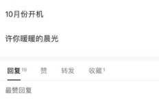 皮皮粉丝的魅力何在？专属头像与搞笑业务背后的粉丝名和收益之谜？