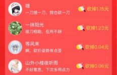 如何在多多平台上砍价助力，享受超值优惠？