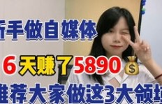 在美国，哪些副业既轻松又赚钱？你适合哪一种？