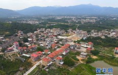 鱼台农村副业涵盖哪些企业类型？探索当地特色产业