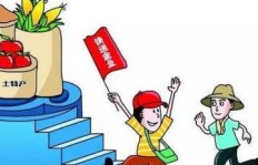 当前农村有哪些致富途径？如何把握赚钱机遇？
