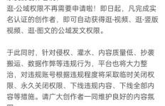 拍视频与学乐理，哪个更赚钱？你选对了吗？