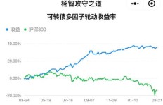 如何挑选最具盈利潜力的可转债？哪只表现最佳？