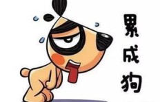累到极致也无所畏惧，究竟是什么动力让人拼命挣钱？