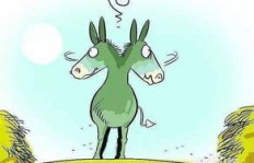 二驴是如何实现高收入的？他的赚钱秘诀是什么？