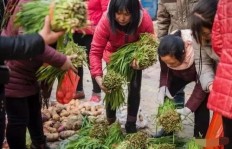 农村赶集卖荷花能赚多少？市场前景如何？