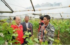 毛竹山隐藏的副业是什么？探访竹山背后的多元生计