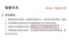 如何高效记录主业与副业日常，打造双轨收入视频日志？