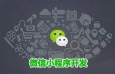 微信童装厂家直销代理可信度如何？探讨成为优秀微商的途径。