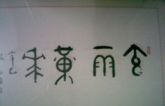 究竟哪个地方指代何物，哪一个地方又蕴含何意？
