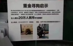 大连校园兼职靠谱吗？大学生如何找到优质兼职机会？