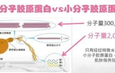 寻找最快最有效的蛋白质补充方法，哪种途径最理想？