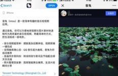 网上打鱼拍视频真的能赚钱吗？具体操作流程是怎样的？
