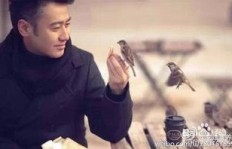 为何成熟男人纷纷投身赚钱大潮？
