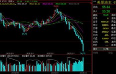 原油黄金交易真的能带来盈利吗？新手必看！