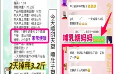 天然世家微商辅食代理，真的能带来健康与财富双重收益吗？