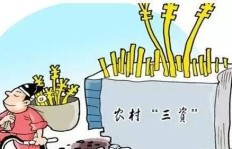 如何在农村成为一名成功的经纪人并实现盈利？