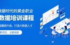 女性学技术，哪个行业最能实现高薪回报？