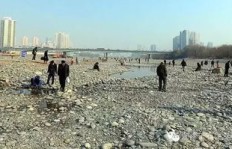 南方黄河滩捡石头真能致富？捡石头的利润到底有多高？