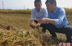 怎样才能帮助村民找到增收致富的新途径？