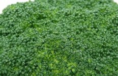 在农村野外种植哪些蔬菜能带来高收益？