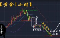 多多是如何在副业中找到成功之路的？